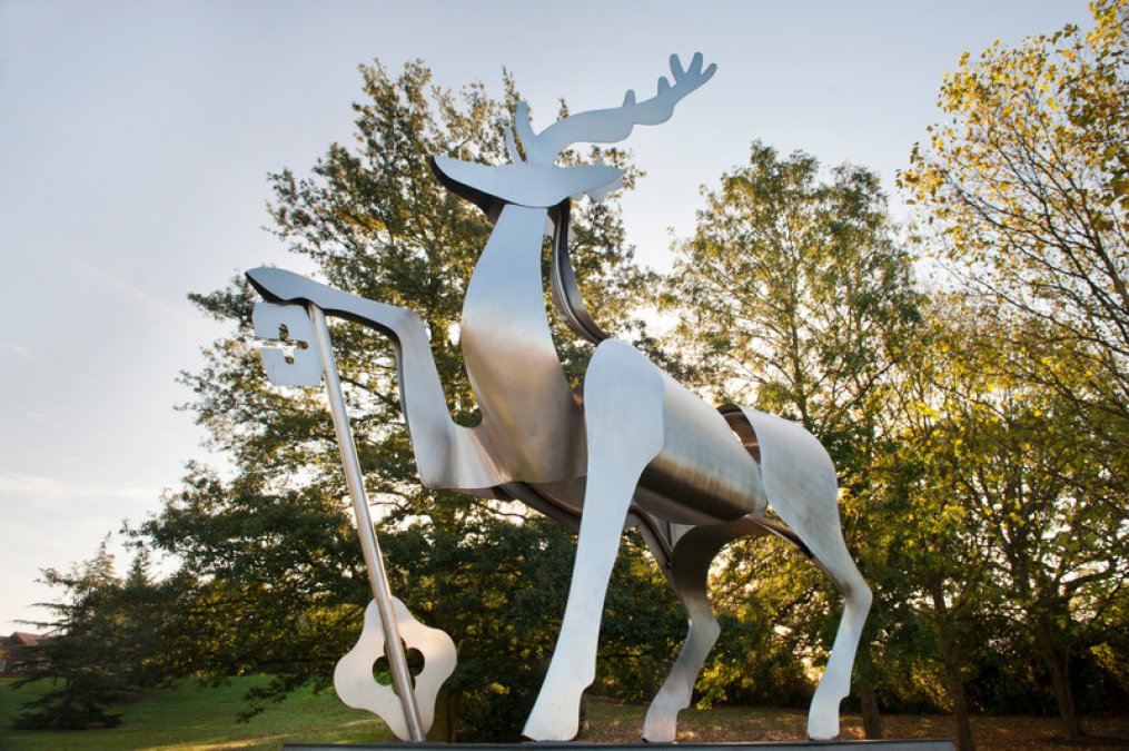 萨里大学2020年录取要求